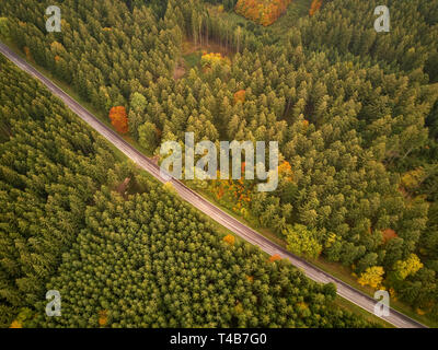 Land straße führt ein Wanderweg durch einen bunten Wald im Herbst Stockfoto