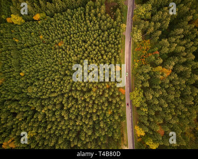 Zwei Autos fahren auf einer Straße durch einen Wald im Herbst von oben Stockfoto