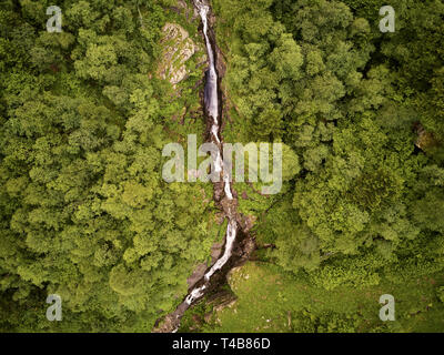 Bach mit Wasserfall im Wald, in den Bergen der Pyrenäen von oben Stockfoto