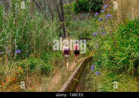 Wanderung Levada von Monte / Palheiro, Madeira, Portugal Stockfoto