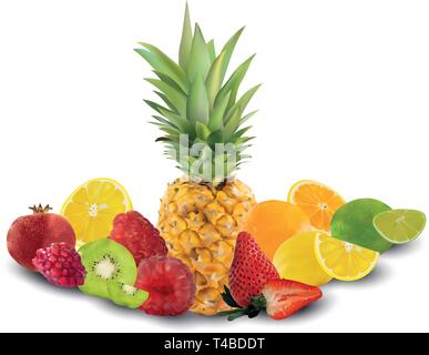 Einstellen der Erdbeere, Granatapfel, Himbeere, Orange, Kiwi, Limette, Zitrone und Ananas. Gesetzt, eine Gruppe von sechs Obst. Rohes Obst. Konzept gute Ernährung Stock Vektor