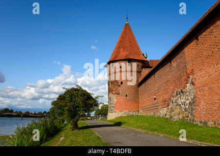 Die Marienburg, Fluss Fluß Nogat, Ostsee-autobahn, Polen Stockfoto