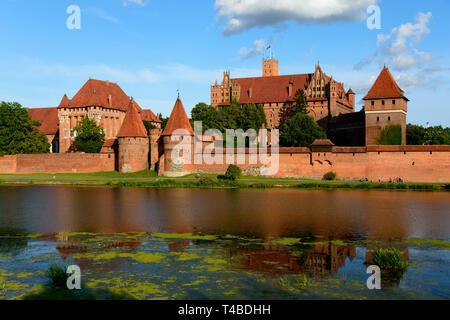 Die Marienburg, Fluss Fluß Nogat, Ostsee-autobahn, Polen Stockfoto