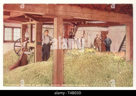 Anfang 1900 getönt Postkarte des Innern Oast House, getrocknete Hopfen auf dem Boden, um 1910, Großbritannien Stockfoto