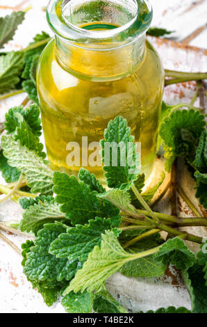 Wesentliche aroma Öl mit Melissa auf hölzernen Hintergrund. Melissa Anlage. Zitronenmelisse Stockfoto