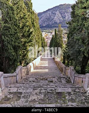 Calvari Schritte, keine Menschen, Bäume und eine schwarze Katze, Pollenca, Mallorca, Balearen, Spanien. Stockfoto