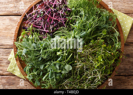 Vitamin diätetische microgreen von Erbsen, Koriander, Senf, Ölrettich rosso Close-up auf einem Schild an einem Holztisch. horizontal oben Ansicht von oben Stockfoto