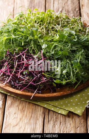 Micro grün in einer Auswahl von Erbsen, Koriander, Senf, Ölrettich close-up auf einem Schild an einem Holztisch. Vertikale Stockfoto