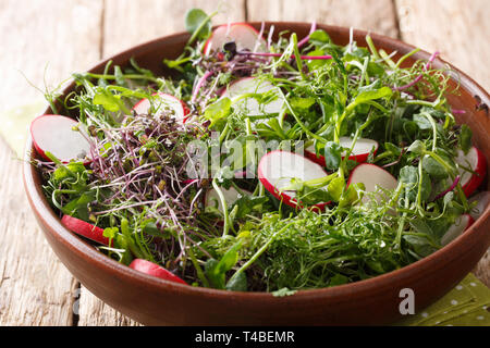 Diätetische frischen Rettich Salat mit microgreen Mix close-up in einer Schüssel auf dem Tisch. Horizontale Stockfoto