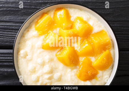 Traditionelle asiatische Tapioka Pudding mit Kokosmilch und frischer Mango close-up in einer Schüssel auf den Tisch. horizontal oben Ansicht von oben Stockfoto