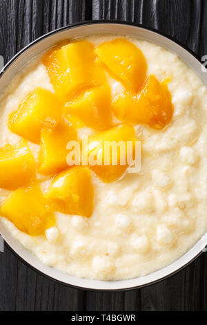 Vegetarische tapioka Pudding mit Kokosmilch und frischer Mango close-up in einer Schüssel auf den Tisch. Vertikal oben Ansicht von oben Stockfoto