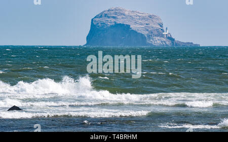 Bass Rock Leuchtturm gannet Kolonie, die Wellen am Ufer brechen, Firth-of-Forth, East Lothian, Schottland, Großbritannien Stockfoto