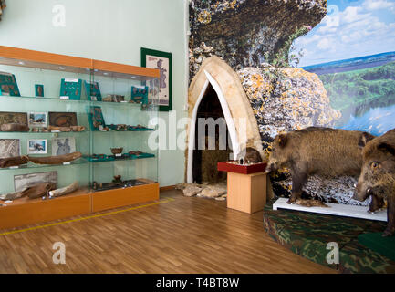 Zadonsk, Russland - 28. August 2018: Fragment der Exposition des Zadonsk Heimatmuseum, Zadonsk Stockfoto