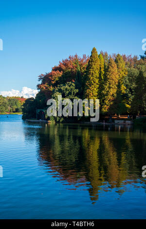 Ohannesburg, Südafrika, 15. April 2019. Ein Paddler auf Emmerentia Dam, die von utumn Blätter und blauer Himmel leuchtet, am Montag Nachmittag. Credit: Eva-Lotta Jansson/Alamy Stockfoto