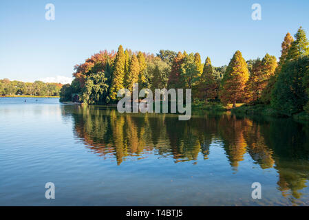 Ohannesburg, Südafrika, 15. April 2019. Paddler auf Emmerentia Dam, die von utumn Blätter und blauer Himmel leuchtet, am Montag Nachmittag. Credit: Eva-Lotta Jansson/Alamy Stockfoto