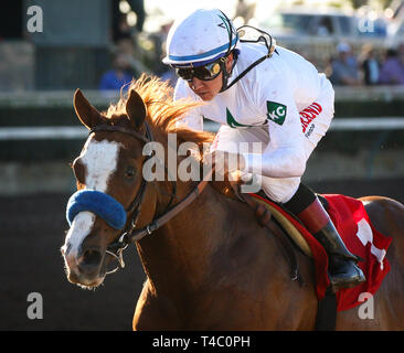 Cypress, CA, USA. 8 Dez, 2018. DEL MAR, CA: 8. Dezember 2005: #1 unwahrscheinlich mit drayden VanDyke zerstören die Konkurrenz in der Klasse ich Cashcall Futurity bei Los Alamitos Race Course am 8. Dezember 2018 in Cypress, Kalifornien (Foto von Chris Crestik/Eclipse Sportswire) Credit: Csm/Alamy leben Nachrichten Stockfoto