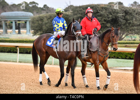 Hot Springs, Arkansas, USA. 18 Feb, 2019. Februar 18, 2019: Südwest Beteiligungen Rennen in Oaklawn Park am 18. Februar 2019 in Hot Springs, Arkansas. #3 Schneiden mit Humor Jockey John R. Velazquez (Foto von Ted McClenning/Eclipse/Cal Sportswire Sport Media) Credit: Csm/Alamy leben Nachrichten Stockfoto