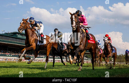 Lexington, KY, USA. 8. Oktober, 2018. 07 Oktober 2018: Krieg mit drayden Van Dyke Rennen in der Dixiana Bourbon Stangen bei Keeneland Racecourse am 07. Oktober 2018 in Lexington, Kentucky. Evers/ESW/CSM/Alamy leben Nachrichten Stockfoto