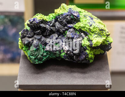 Freiberg, Deutschland. 16 Apr, 2019. Azurit (blau), Malachit (grün) und bayldonite (gelb-grün) ist in der Sonderausstellung 'gesucht und gefunden. Einzigartige Entdeckungen aus Sachsen", die anlässlich des zehnten Jahrestages der Ausstellung "terra mineralia" übernimmt, kann in einer Vitrine im Schloss Freudenstein in Freiberg gesehen werden. Die Ausstellung ist geöffnet von 17. April bis 25. August 2019. Credit: Robert Michael/dpa-Zentralbild/dpa/Alamy leben Nachrichten Stockfoto