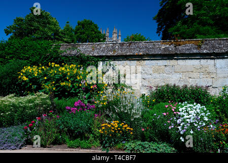 Botanischer Garten, Oxford, Oxfordshire, England, Grossbritannien Stockfoto