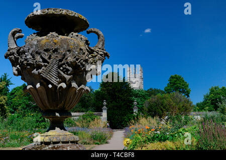 Botanischer Garten, Oxford, Oxfordshire, England, Grossbritannien Stockfoto