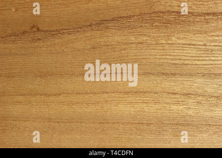 In der Nähe von hellen Holz Textur. Stockfoto