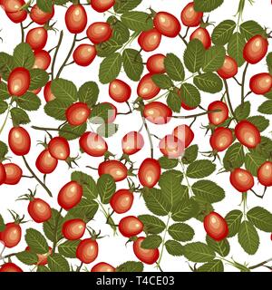 Hagebutten nahtlose Muster auf weißem Hintergrund. Hund - Rose reife rote Früchte. Vector Illustration Stock Vektor