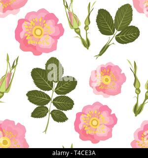 Briar nahtlose Muster auf weißem Hintergrund. Vector Illustration des Hip-rosa Blüten, Blätter, Knospen und Beeren. Stock Vektor