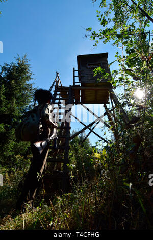 Huntswoman, Schrotflinte, Deutschland Stockfoto