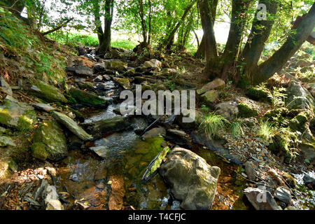 Traumschleife, Köhler Premium Wanderweg, Deutschland, Rheinland-Pfalz, Hunsrück, Köhlerpfad Stockfoto