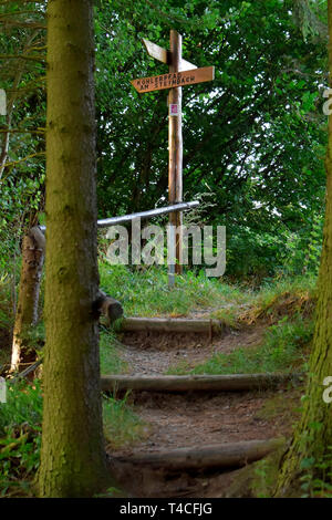 Traumschleife, Köhler Premium Wanderweg, Deutschland, Rheinland-Pfalz, Hunsrück, Köhlerpfad Stockfoto