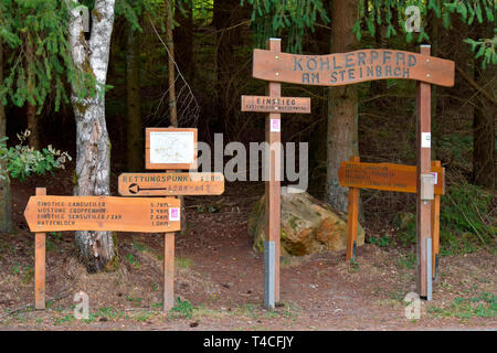 Traumschleife, Köhler Premium Wanderweg, Deutschland, Rheinland-Pfalz, Hunsrück, Köhlerpfad Stockfoto