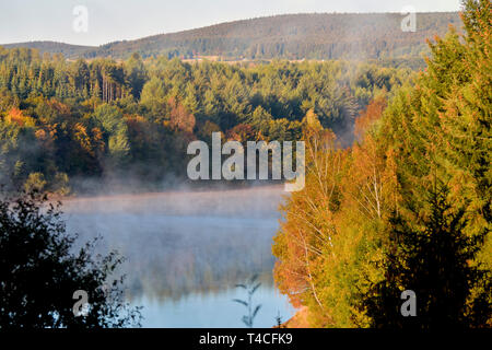 Steinbach Stausee, Traumschleife, Köhler Premium Wanderweg, Deutschland, Rheinland-Pfalz, Hunsrück, Köhlerpfad Stockfoto