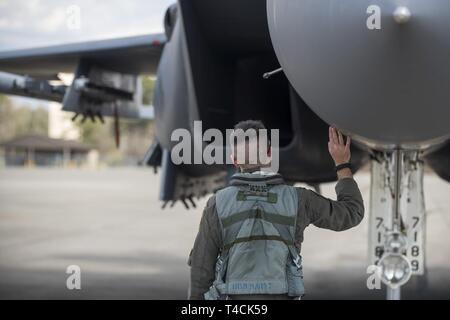 Kapitän J. Paul Reasner, 334 Fighter Squadron Waffensysteme officer Instructor, führt eine Pre-flight Inspection, 18. März 2019, bei Seymour Johnson Air Force Base, North Carolina. Ursprünglich von Indianapolis, Reasner wurde gewählt in einer Heimatstadt Video als Teil einer civic Outreach Program von Sekretär der Air Force Public Affairs durchgeführt. Stockfoto