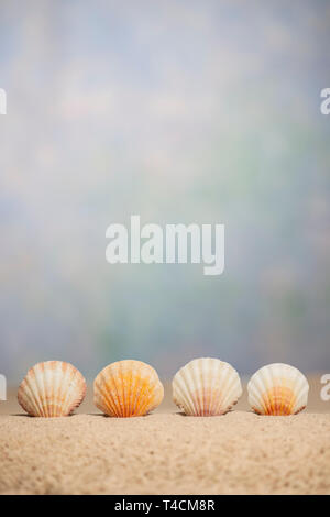 Vertikale seashell Grenze unter einem unscharf Himmel Hintergrund mit kopieren. Stockfoto