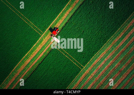 Roter Traktor mähen grünes Feld. Stockfoto