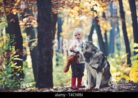 Red Riding Hood mit Wolf im Märchen Wald. Kind Spiel mit Husky und Teddybär auf frische Luft im Freien. Kleines Mädchen mit Hund im Herbst Wald Stockfoto