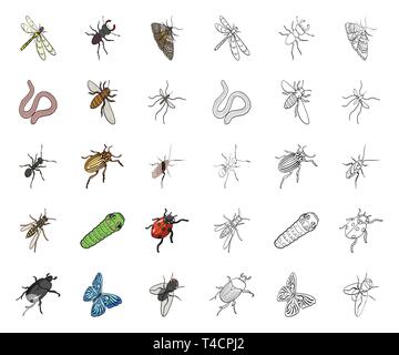 Insekten aller Art Cartoon, umriss Symbole im Set Sammlung für Design. Insekt gliederfüßers Vektor isometrische Symbol lieferbar Abbildung. Stock Vektor