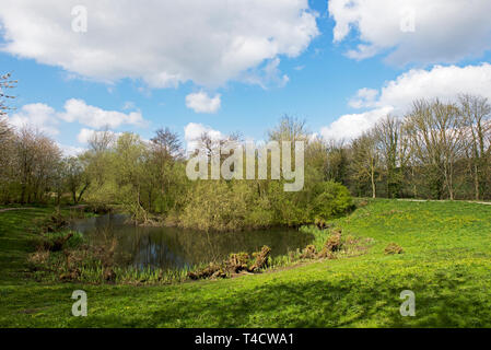 Gallows Hill Nature Reserve, Otley, West Yorkshire, England, Großbritannien Stockfoto