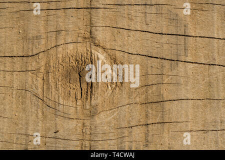 Ein Makro / close up Foto der Textur und einen Knoten auf einem Holz- Oberfläche. Stockfoto