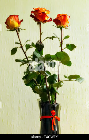 Drei tee Rosen in einer Vase gegen ein Blasses Grün Wand. Stockfoto