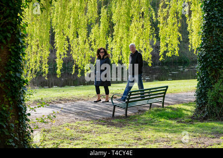 Zwei Menschen laufen entlang eines Pfades unter einer Trauerweide Baum in Sankey Valley Park, Warrington, Cheshire, England, Großbritannien Stockfoto