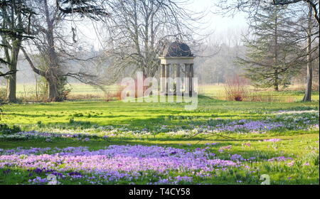 Der Tempel der Winde an doddington Halle und Gärten, Lincolnshire aus einem Rasen eingebürgerten Krokusse und Schneeglöckchen, - Ende Februar, UK gesehen Stockfoto