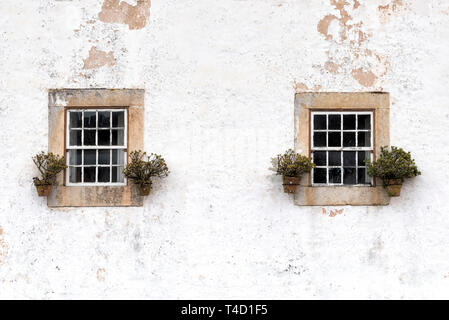 Windows mit Topfpflanzen in Obidos, Portugal eingerichtet Stockfoto