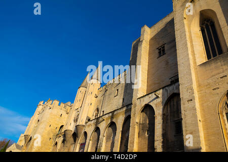 Palais des Papes in Avignon, Provence Alpes Cote d'Azur, Frankreich, Stockfoto