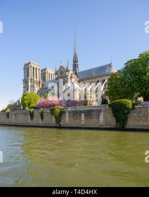 Kathedrale Notre Dame, südliche Fassade an einem schönen sonnigen Frühling Morgen, April 2016, drei Jahre vor dem verheerenden Brand im April 2019. Stockfoto