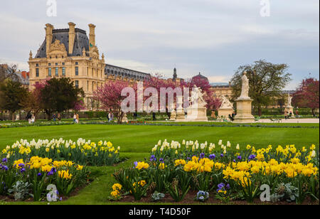 Wunderbare Feder Tuileries Garten und Blick auf den Louvre in Paris, Frankreich Stockfoto