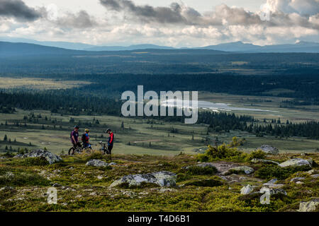 Mountainbiken in der Nähe von Hafjell in Norwegen im Sommer. Stockfoto