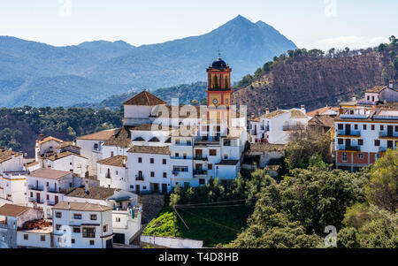 Weißes andalusisches Dorf, Pueblo blanco Algatocin. Provinz Malaga, Spanien Stockfoto