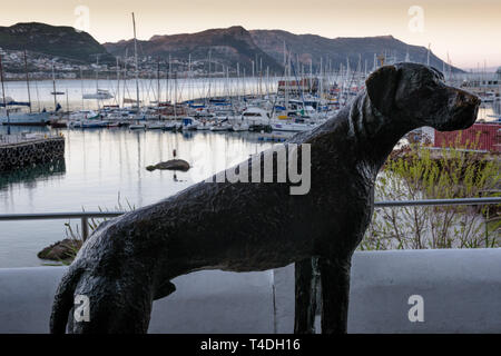 Nur lästig war der einzige Hund jemals offiziell in der britischen Royal Navy angeworben werden. Die Deutsche Dogge hielt den Rang eines Vollmatrosen, und starb im Jahre 1944 Stockfoto